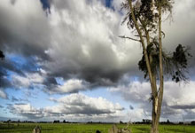 WELLBET：欧国联最贵阵：亚马尔压姆巴佩领衔 法国3席西意各2人.