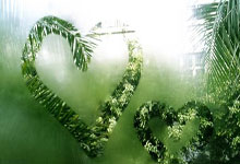 乒乓球——WTT重庆冠军赛：王楚钦男单夺冠.