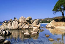 70588！中澳之战刷新中国足球上座人数纪录.